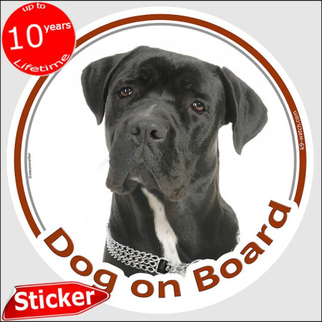 Cane Corso Dog on Board Sticker 15 cm