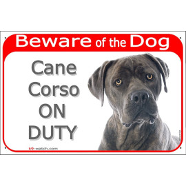 Cane Corso Beware of the Dog sign with grey short-coated dog photo and On Duty text for gates and fences.