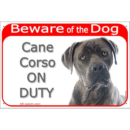 Cane Corso Beware of the Dog sign with grey short-coated dog photo and On Duty text for gates and fences.