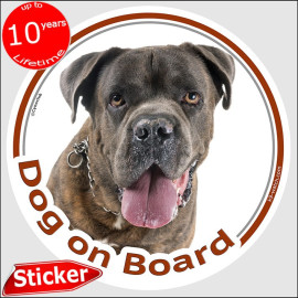Cane Corso Dog on Board Sticker | Car Window Dog Decal