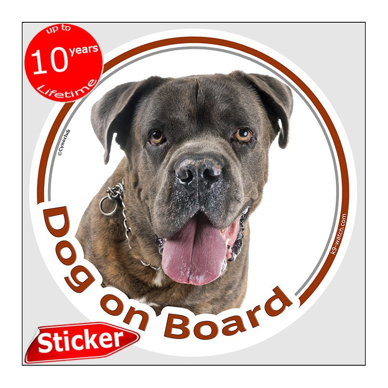 Cane Corso Dog on Board Sticker | Car Window Dog Decal