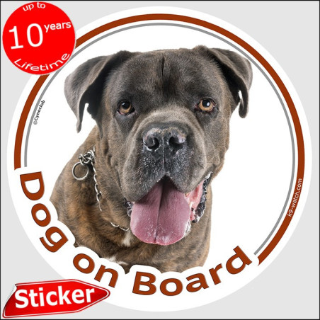 Cane Corso Dog on Board Sticker | Car Window Dog Decal