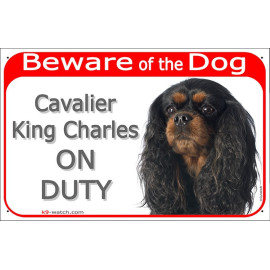 Cavalier King Charles On Duty sign with black and tan long silky-coated dog photo for gates, fences and doors.