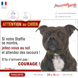 Staffie bringé, plaque humour photo "Attention au Chien, Jetez Vous au Sol, courage" résiste dehors