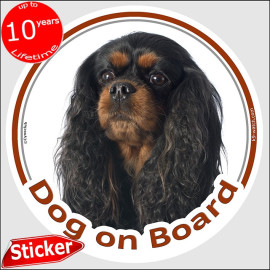Cavalier King Charles Dog on Board sticker with black and tan long silky-coated dog for car windows.