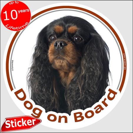 Cavalier King Charles Dog on Board sticker with black and tan long silky-coated dog for car windows.