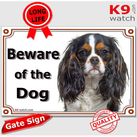Tricolour Cavalier King Charles Beware of the Dog sign with long silky coat for gates, fences and entrances.