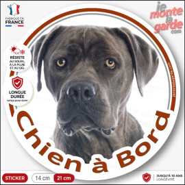 Sticker Cane Corso "Chien à Bord" pour voiture, adhésif durable de fabrication française, résiste dehors