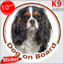 Tricolor Cavalier King Charles Dog on Board sticker with long silky coat for car windows