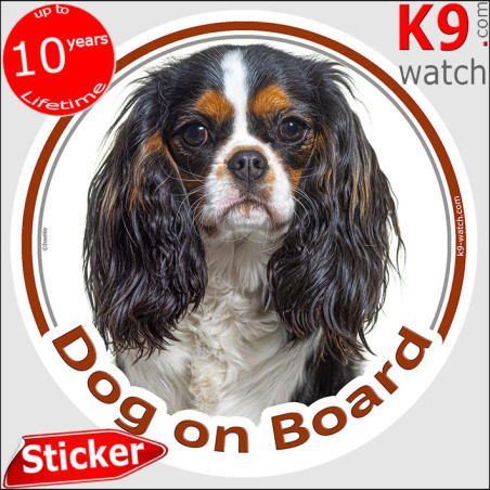 Tricolor Cavalier King Charles Dog on Board sticker with long silky coat for car windows