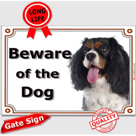 Tricolour Cavalier King Charles Beware of the Dog gate sign with white blaze and long silky coat for gates, fences and doors.