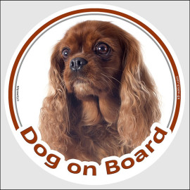Ruby Cavalier King Charles Dog on Board sticker with rich red long silky coat and feathered ears for car windows.