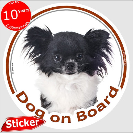 Black and white long-haired Chihuahua Dog on Board sticker with silky coat and bright white chest for car windows and vehicles.