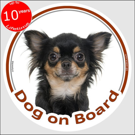 Black and tan long-haired Chihuahua Dog on Board sticker with silky coat and cream chest for car windows and vehicles.