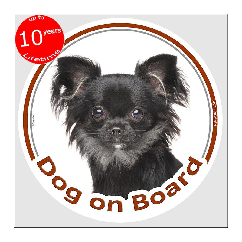 Black long-haired Chihuahua Dog on Board sticker with silky coat, silver chest and dark portrait for car windows and vehicles.
