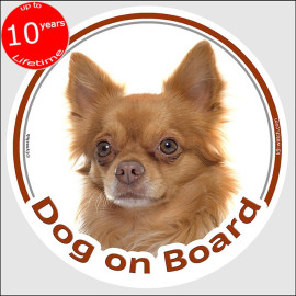 Red long-haired Chihuahua Dog on Board sticker with warm sable coat, silky feathering and breed portrait for car windows.