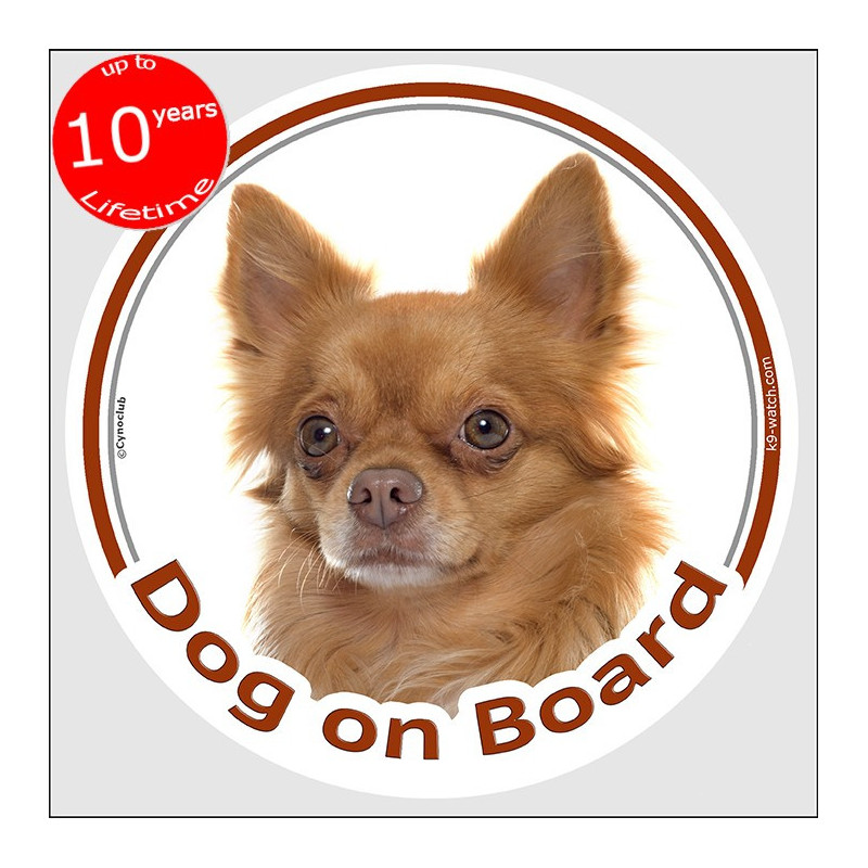 Red long-haired Chihuahua Dog on Board sticker with warm sable coat, silky feathering and breed portrait for car windows.