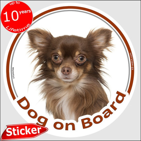 Chocolate long-haired Chihuahua Dog on Board sticker with tan points, cream chest and silky coat for car windows.