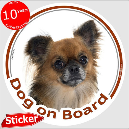 Sable Long-Haired Chihuahua Dog on Board Sticker
