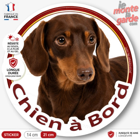 Sticker Teckel à poil ras marron et feu "Chien à Bord", adhésif voiture fabriqué en France