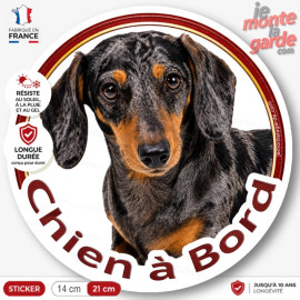 Sticker Teckel poil ras noir et feu arlequin "Chien à Bord", adhésif voiture fabriqué en France