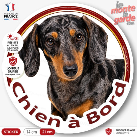Sticker Teckel poil ras noir et feu arlequin "Chien à Bord", adhésif voiture fabriqué en France
