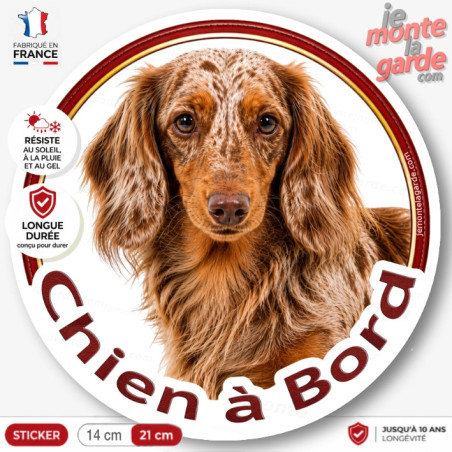 Sticker Teckel poil long rouge arlequin "Chien à Bord", autocollant voiture fabriqué en France