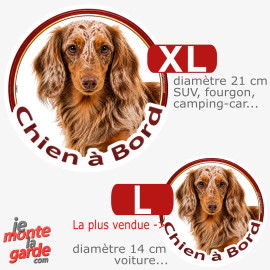 Teckel à poils longs, sticker voiture rond "Chien à Bord" 2 Tailles