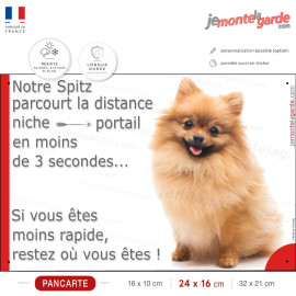 Spitz Fauve orange, Plaque Portail humour "parcourt la distance niche portail moins 3 secondes"