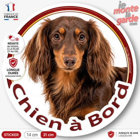 Sticker Teckel poil long marron et feu "Chien à Bord", adhésif voiture fabriqué en France