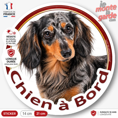 Sticker Teckel poil long noir et feu arlequin "Chien à Bord", adhésif voiture fabriqué en France