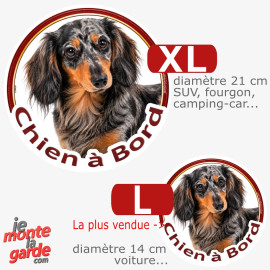 Teckel à poils longs, sticker voiture rond "Chien à Bord" 2 Tailles