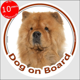 Red Chow-Chow Dog on Board sticker with rough double coat, thick ruff and lion-like breed portrait for car windows and vehicles.