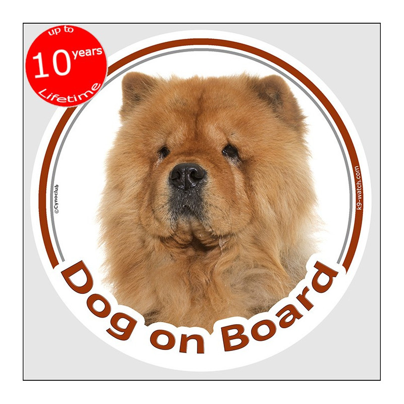 Red Chow-Chow Dog on Board sticker with rough double coat, thick ruff and lion-like breed portrait for car windows and vehicles.
