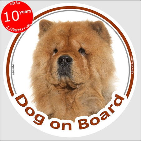 Red Chow-Chow Dog on Board Sticker