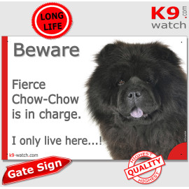 Funny black Chow-Chow gate sign with “I only live here” joke, rough coat and dark ruff for doors, fences, porches and entrances.