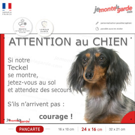 Teckel poils longs merle, plaque portail humour "Attention au chien, Jetez Vous au Sol, courage" photo Arlequin
