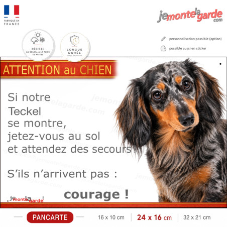 Pancarte Teckel poil long noir et feu arlequin humoristique: jetez-vous au sol, courage !