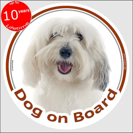 Coton de Tulear Dog on Board sticker with white cottony coat, grey ear shading and cheerful portrait for car windows and vans.