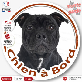 Sticker Staffordshire Bull Terrier noir "Chien à Bord", adhésif voiture, français et durable
