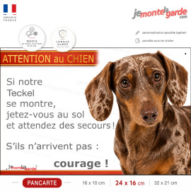 Pancarte Teckel marron arlequin et feu humoristique: jetez-vous au sol, courage !