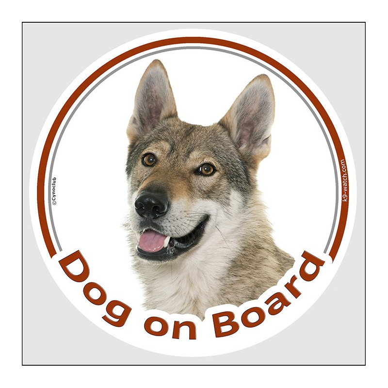Czechoslovakian Wolfdog Dog on Board sticker with wolf-grey coat, pale mask and alert portrait for car windows and vans.