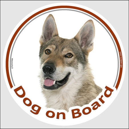 Czechoslovakian Wolfdog Dog on Board sticker with wolf-grey coat, pale mask and alert portrait for car windows and vans.