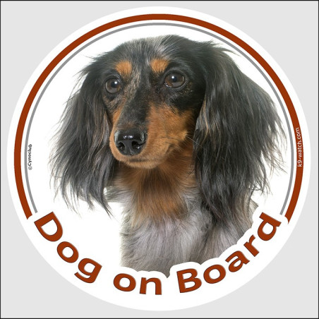 Dapple long-haired Dachshund Dog on Board sticker with black and tan markings, silver mottling and silky coat for cars.