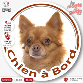 Sticker Chihuahua poil long fauve "Chien à Bord" pour vitre de voiture, adhésif français durable 15 ou 21 cm