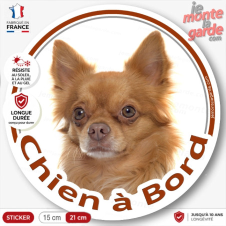 Sticker Chihuahua poil long fauve "Chien à Bord" pour vitre de voiture, adhésif français durable 15 ou 21 cm