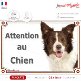Border Collie marron chocolat et blanc, plaque portail "Attention au Chien" photo race, résiste pluie soleil gel, idée cadeau