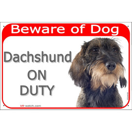 Wire-haired Dachshund On Duty sign with wild boar coat, rough beard and red warning header for gates, fences and doors.