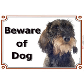 Wild boar wire-haired Dachshund Beware of Dog sign with rough beard, grizzled coat and classic border for gates and doors.