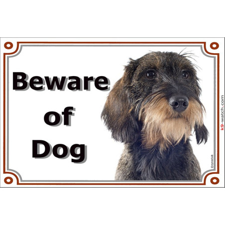 Wild boar wire-haired Dachshund Beware of Dog sign with rough beard, grizzled coat and classic border for gates and doors.